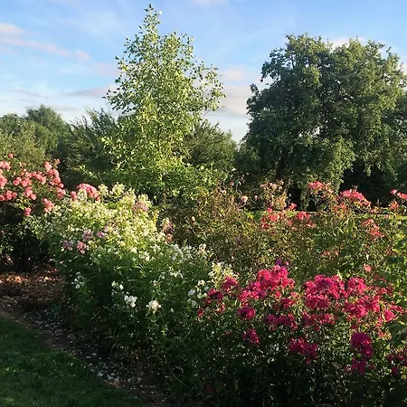 Bed and breakfast Domaine De La Rue