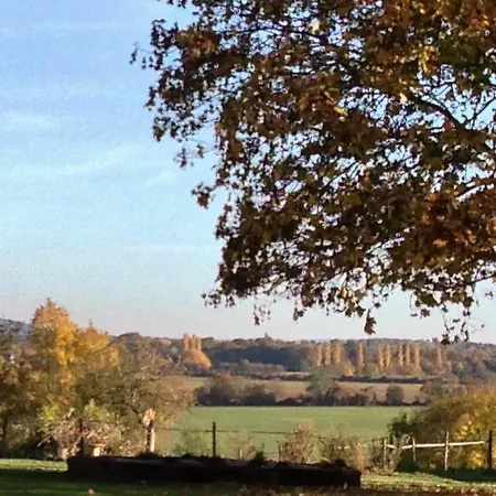 Domaine De La Rue